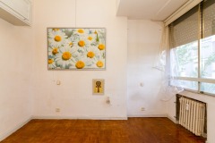 Foto11