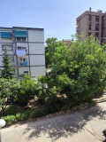Foto1