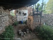 Foto4