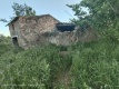 Foto5