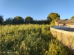 Foto9