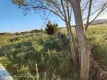 Foto11