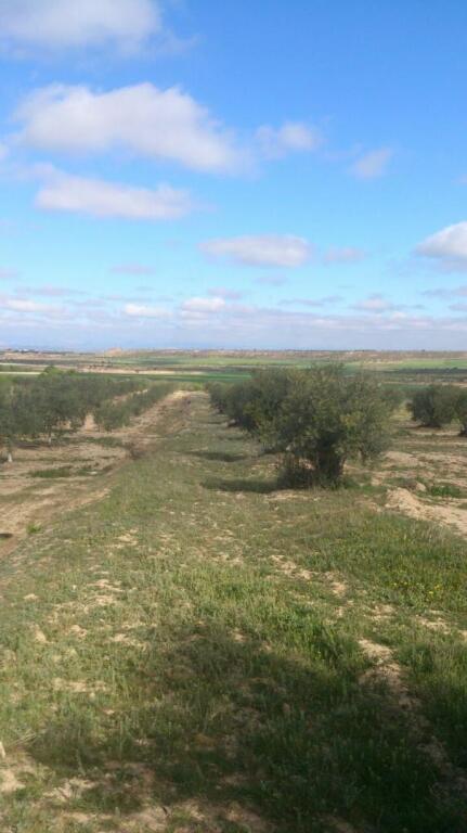 Foto suelo rústico en venta en sant marti de riucorb lleida