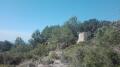 Foto8