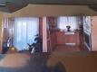 Foto7