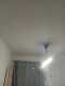 Foto4