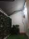 Foto8