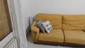 Foto34