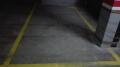 Foto9