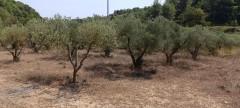 Foto33
