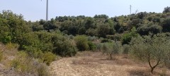 Foto19