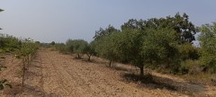 Foto21