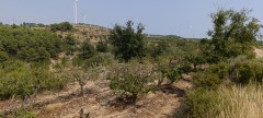 Foto43
