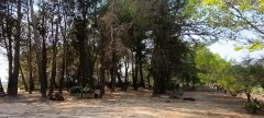 Foto10
