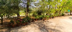 Foto44