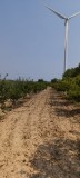 Foto13