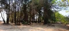 Foto7