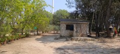 Foto42