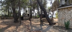 Foto9