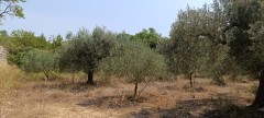 Foto41