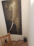 Foto32