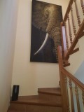 Foto33