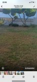 Foto76