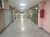 Foto5