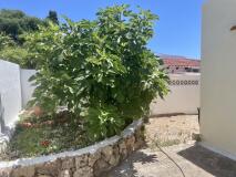 Foto51