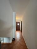 Foto51
