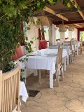 Foto8