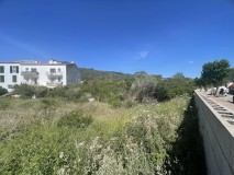 Foto4