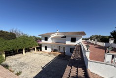 Foto8