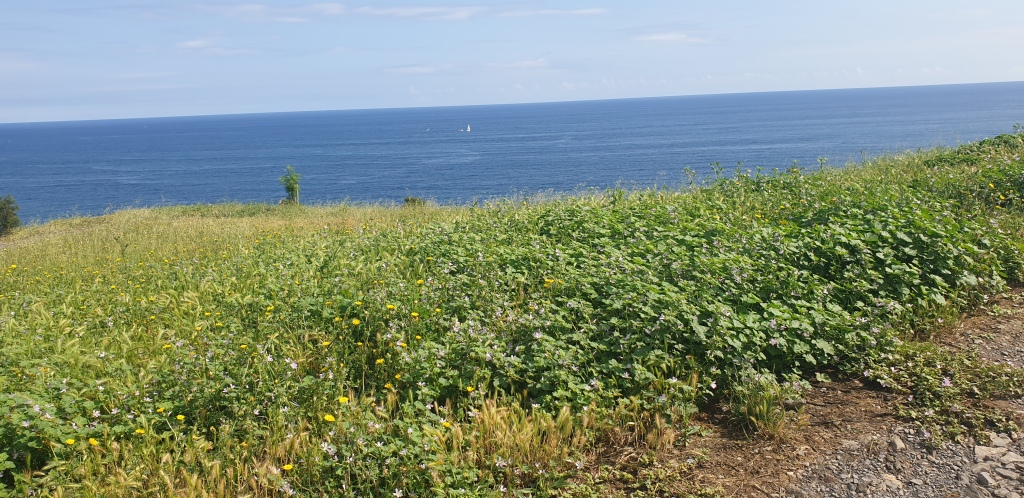 ático en venta en castro urdiales cantabria foto grande (3)