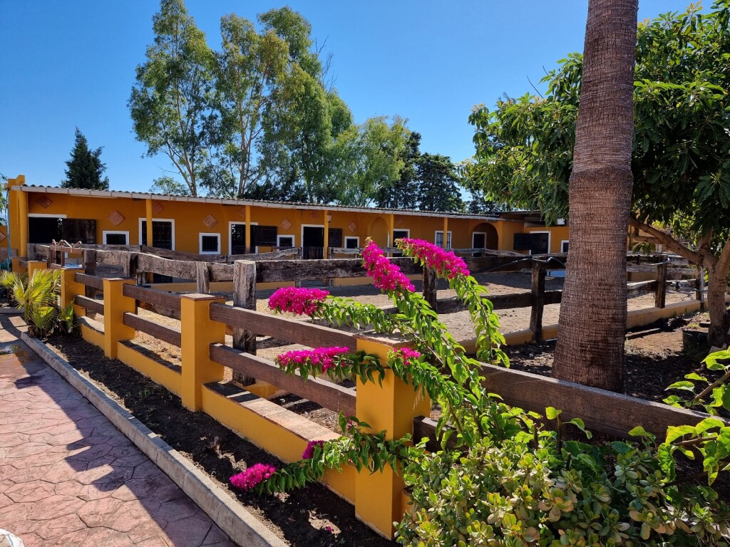 casa de campo-masía en venta en estepona málaga foto grande (2)