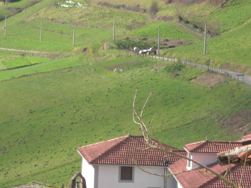 Suelo urbanizable en venta en riocastiello asturia
