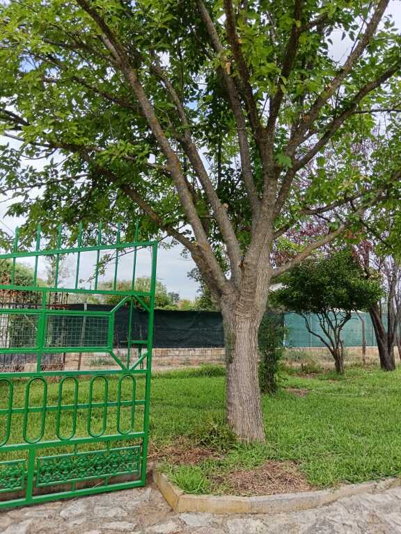 casa de campo-masía en venta en belvis de monroy cáceres foto grande (2)