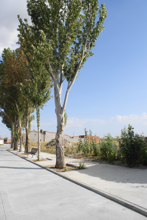 solar urbano en venta en oso, el ávila foto grande (2)