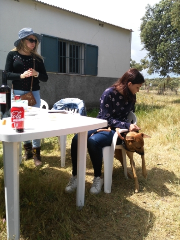 Suelo rústico en venta en pescueza cáceres 