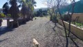 Foto43