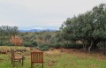 Foto2
