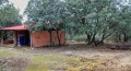 Foto46
