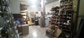 Foto8