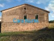 Foto9