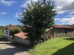Foto9