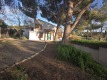 Foto7