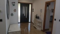 Foto8