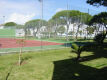 Foto8