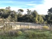 Foto5
