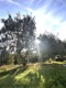 Foto6